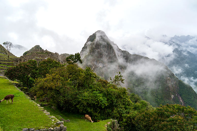 Cidadela de Machu Picchu